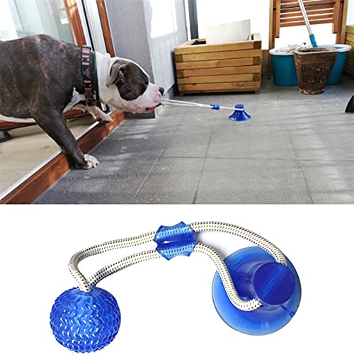 Jouets pour chien interactif molaire pour occuper le chiot