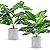 WUKOKU 2 pcs 16" Fake Plants Small Artificial Plants in Pots Faux Plants Indoor for Home Office Farmhouse Bedroom Desk Kitchen Windowsill Decor