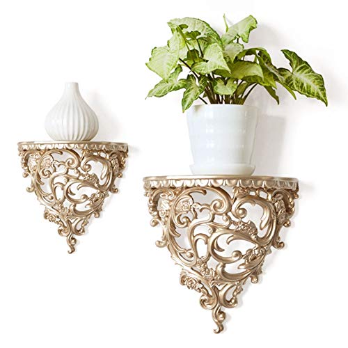 Gsycle Estantes flotantes, estilo europeo hueco, estante de almacenamiento para decoración del hogar y sala de estar