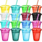 Cups with Straws and Lids Kids Tumbler with Straw Reusable Water Bottle Iced Coffee Travel Mug Cup Adults Plastic Cups for Parties Birthdays 16 oz (Bright Colors,, 15 Pack)