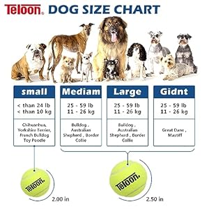 Teloon pet dog playing balls2 5 inch interactive dog tennis ballspet safe dog ball dog tennis balls for exercise  training12 count mesh carry bag pet blue 4pcs   cucciolini doodles