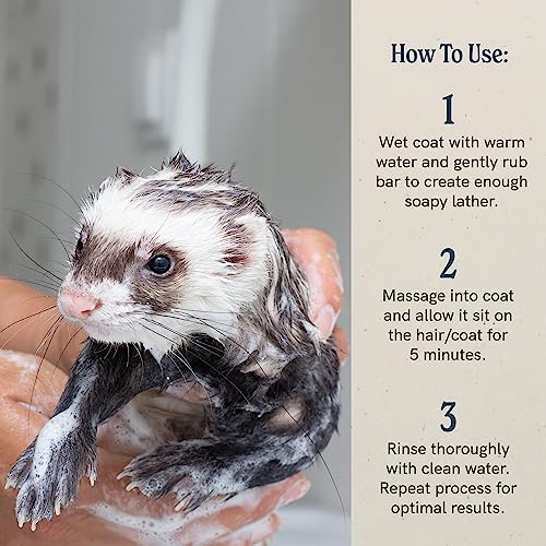 Image of J.R.LIGGETT'S Liquid Small Animal Shampoo for Sensitive Skin, Natural Cleanser for Rabbits, Guinea Pigs, and Small Pets, Hypoallergenic Formula, Detergent-Free, 8.45 fl oz