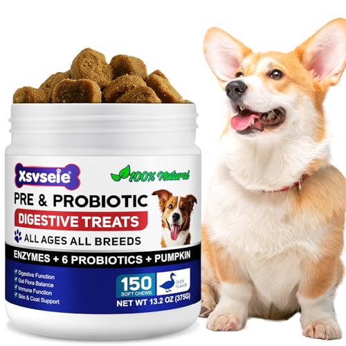 Probiotiques pour chiens avec prébiotiques – Probiotiques pour chien pour la santé intestinale | Soutient les enzymes digestives, la peau des démangeaisons, probiotique naturel pour chien – 150 goût