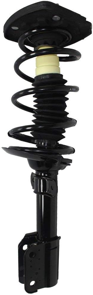 Detroit Axle - Rear Left Strut for Chevrolet Impala Monte Carlo Oldsmobile Intrigue, Driver Side Strut & Coil Spring Assembly Replacement Suspension