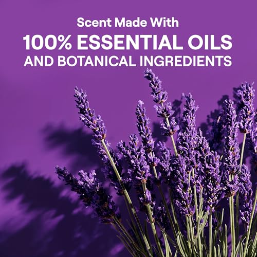 Image of Seventh Generation Laundry Detergent, Ultra Concentrated EasyDose, Fresh Lavender, 23 Ounce, 2 Pack (132 Loads)