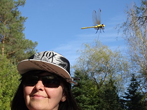 DRAGONFLY WINGMAN Clip-On Natural & Organic Concept Deer and Horse Fly Deterrent - Projetado no Cana