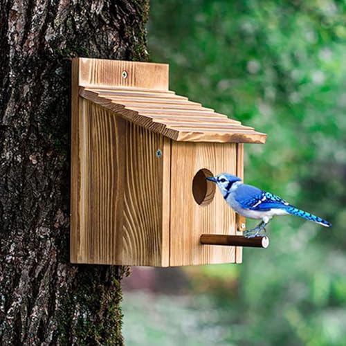 birdhouses bluebirds