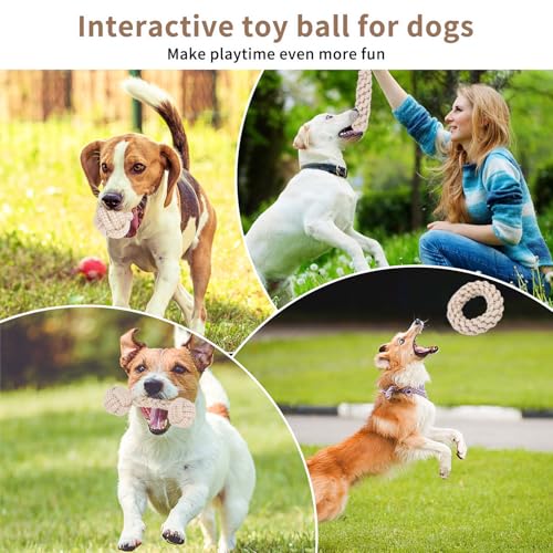 5 Stück Hundespielzeug Seil,Seilspielzeug für Kleine Hunde,Hundespielzeug Seil mit Knoten Ball,Geflochtene Hundeseile Spielzeug aus Baumwolle & Hanf,Baumwolle Interaktives Kauspielzeug für Welpen, Kle