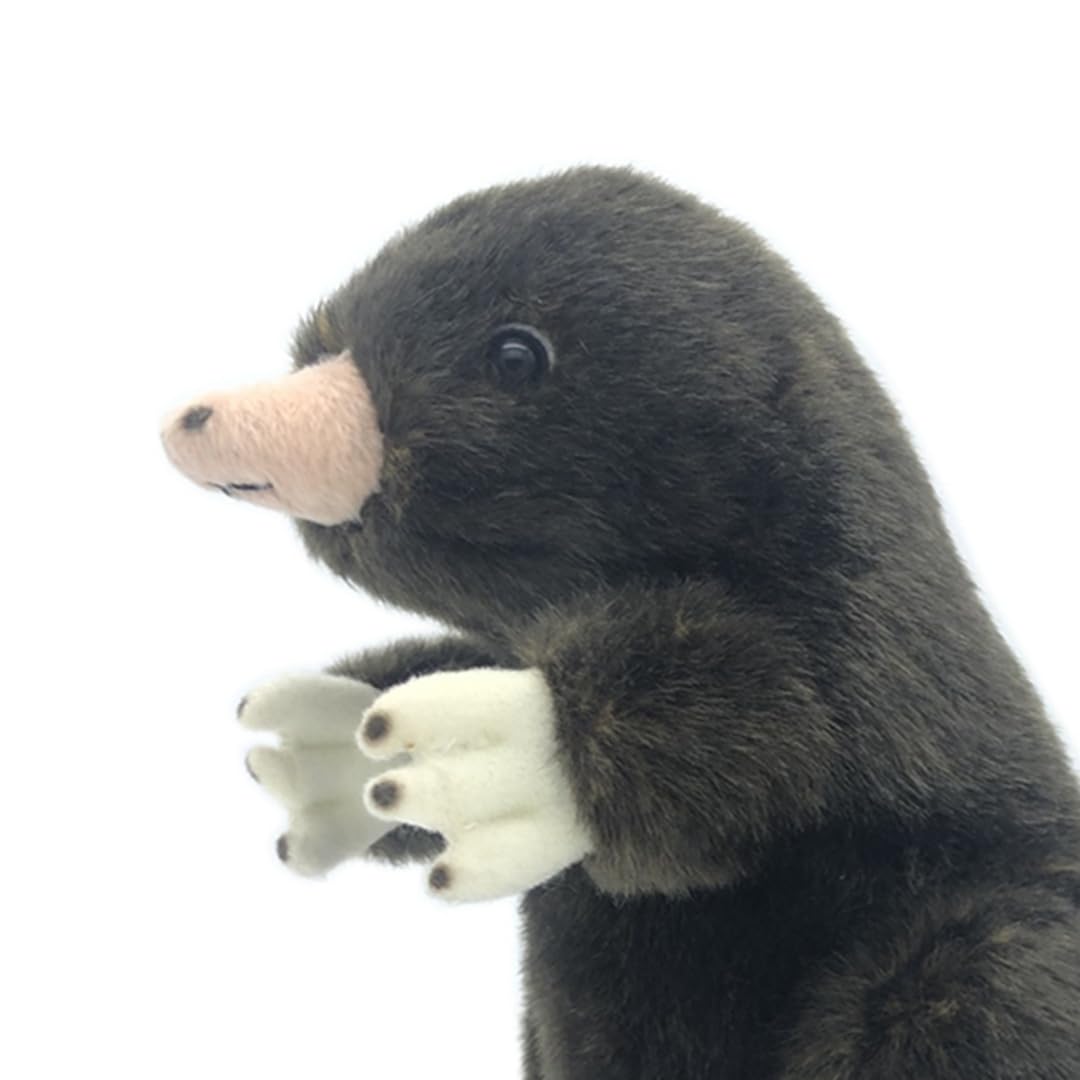 Amazon.co.jp: ヨーロッパモグラ ぬいぐるみ 動物 抱き枕 モグラ
