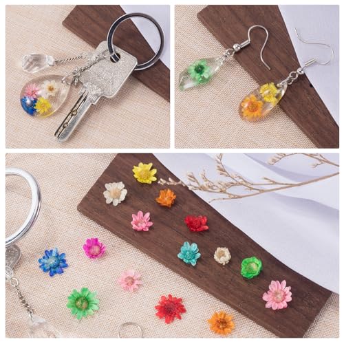 280 flores secas pequeñas para manualidades y resinados miniatura 3