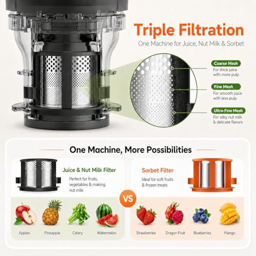 Image of AMZCHEF Cold Press Juicer, 6.5 inch Whole Fruit Self-Feeding Slow Juicer
