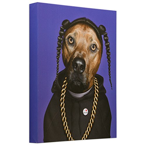 Empire Art Direct Pets Rock Rap Graphic Wrapped Canvas Dog Wall Art, 20" X 16" X 2", Ready To Hang #TOP1