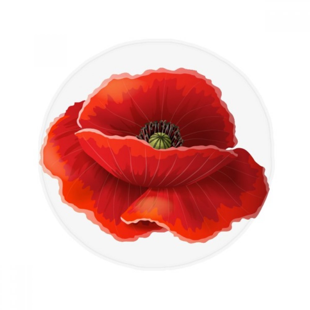 Tapis Fleur Rouge Corn Poppy antidérapant tapis de sol rond salon cuisine 50cm