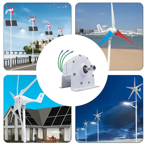 Kit generatore Eolico con regolatore di Carica, apparecchiatura per la Produzione di energia elettrica Verticale, generatore Eolico Senza Ingranaggi ad Alta efficienza da 10000 W - Soluzione