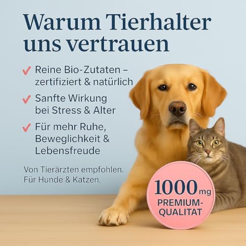naturacbd Hanföl für Hunde & Katzen 1000mg – Hanföltropfen aus Hanfsamenöl, Zur Unterstützung von Fell & Wohlbefinden – Beruhigungsmittel für Hunde und Katzen natürliche Entspannung