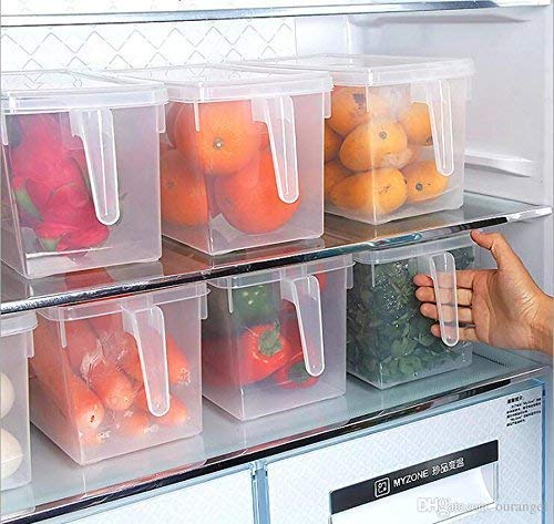 Toxen Fridge Storage Pack of 1 Refrigerator Organizer Container Square Handle Food Storage Organizer Boxes - Clear with Lid, Handle and 3 Smaller Bins - (5 Liter, 1)