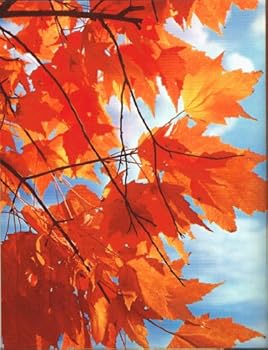 Paperback Ideals Autumn Leaves, Vol. 30, No. 5, September, 1973 Book