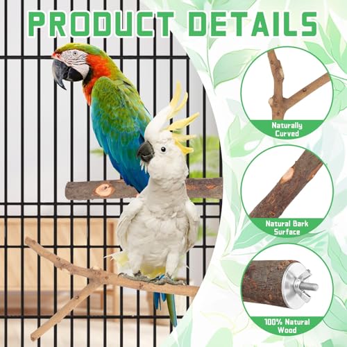 Image of 4-Pack Natural Wood Bird Perch Stand with Spacious Platform, Thick & Long Branches, Large Parrot Cage Accessories for African Grey, Macaws, Conures, Eclectus (Medium & Large Birds)
