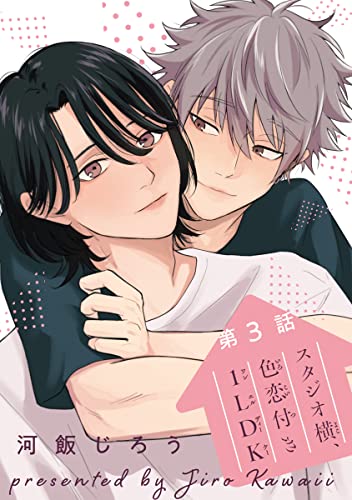 スタジオ横、色恋付き1LDK #3