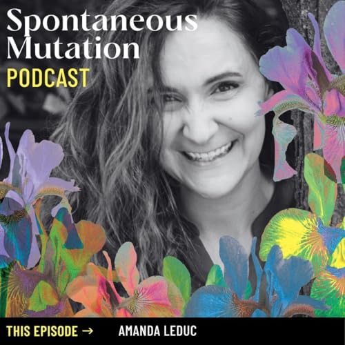 Episode 3: "Daphne" and the Stories We Tell with Amanda Leduc