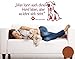 Produktbild Klebefieber Wandtattoo Ohne Hund Leben B x H: 60cm x 25cm Farbe: haselnuss