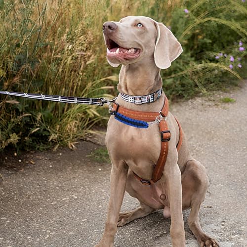 3 St Sicherheitsclip für Stachelhalsbänder, 17,4x2cm 360° Drehbar Sicherheitsgurt für Hundehalsbänder Doppelclip zur Verlängerung der Hundeleine Haustierbedarf zum Verbinden von Hundegeschirren
