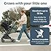 Inglesina Quid³ Stroller, Planet Green - Compact Reclining Travel Stroller for Baby & Toddler 0-55 lbs, One Hand fold, Car seat Compatible, Airplane Overhead, Lightweight, Foldable, XL UPF 50+ Canopy
