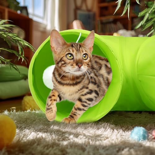 Cat Tunnel, 2-Way Collapsible Cat Tube with Interactive Peek-A-Boo Hole, Toy Ball, and Rope – Ideal for Indoor Cats, Kittens, and Rabbits (Green) by PAOPO - Image 6