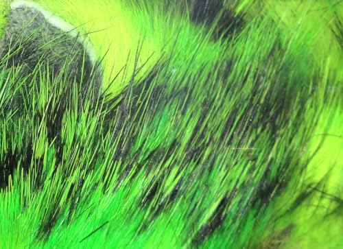 Hareline Fly Tying Tiger Barred Rabbit Strips