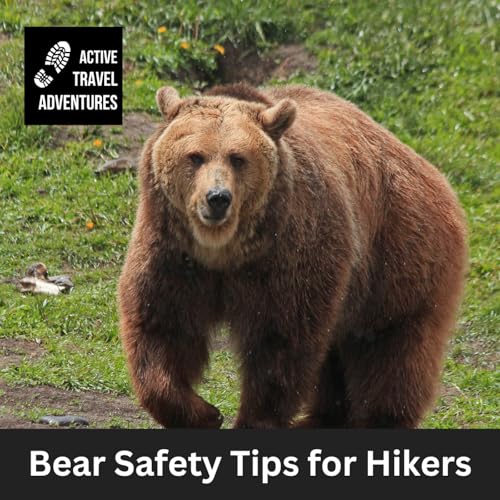 Bear Safety Tips for Hikers and Backpackers