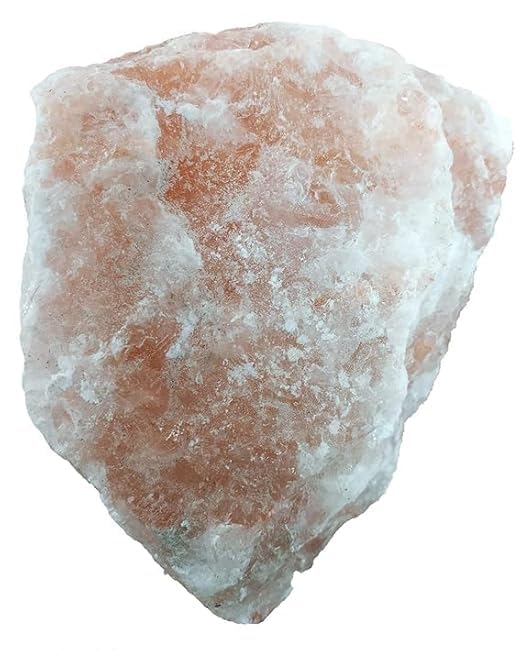 8 kg (Pack of 1)