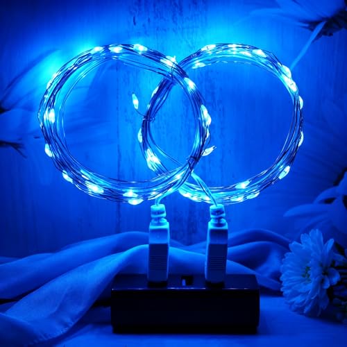MUXIJIA 2 pièce de guirlandes lumineuses LED, 30LED 3M / 10Ft USB guirlandes lumineuses extérieures/intérieures étanches pour chambre, cour, mariage,...
