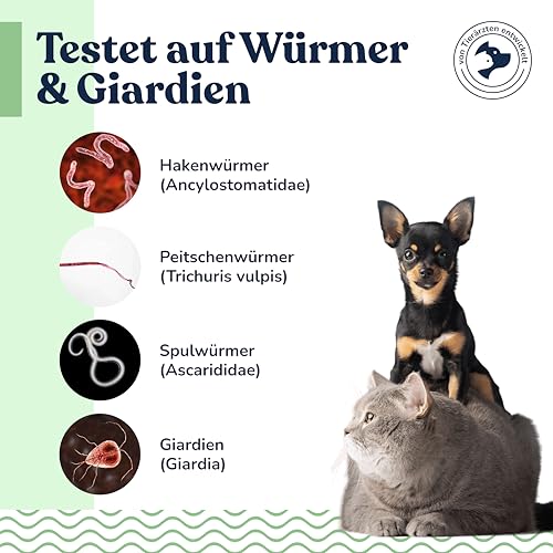 felmo Wurmtest-Kit für Hunde und Katzen – Nachweis von Hakenwürmern, Peitschenwürmern, Spulwürmern & Giardien, Laborergebnisse in 2–3 Werktagen, ideale Ergänzung zum Tierarztbesuch