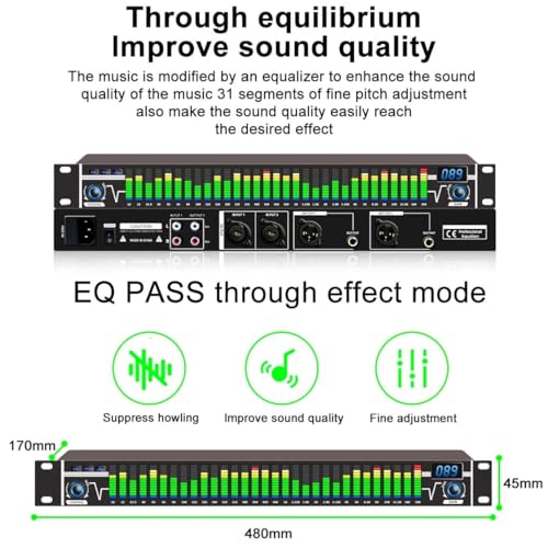Égaliseur numérique graphique avec 10 effets audio prédéfinis - 8