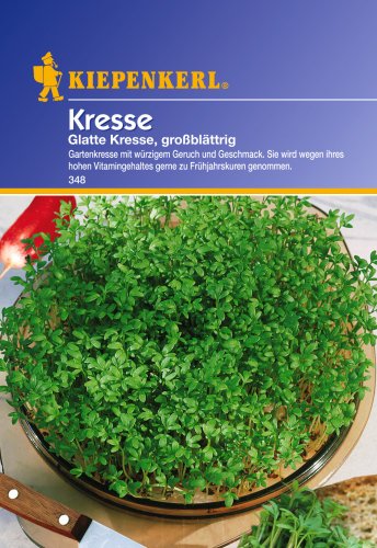 Preisvergleich Produktbild Sperli Gemüsesamen Kresse glatte, großblättrig, grün