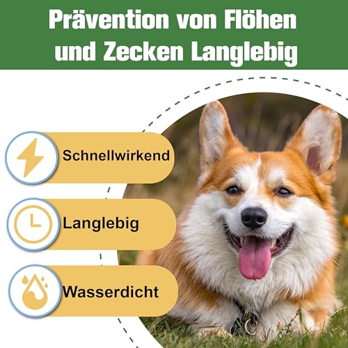 Advanllent Zeckenschutz für Hunde 6 Pipetten, Spot On Hund, Zeckenmittel für Mittlerer Hunde 10 bis 20 kg, Hunde flohmittel entwurmungsmittel für Hunde, gegen Flöhe & Zecken