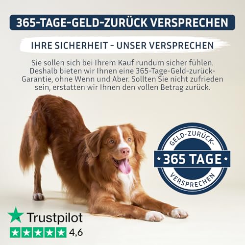 PetFokus Agility Complete | für gelenkempfindliche Hunde - natürliche Nahrungsergänzung - 11 wertvolle Inhaltsstoffe inkl. Grünlippmuschel, MSM, Teufelskralle - Pulver - in Deutschland produziert
