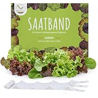 5m Saatband Salat Mix Samen (Lactuca sativa var. crispa) - Knackig, frischer Pflücksalat ideal für die Anzucht im Garten, Balkonkasten & Gemüsebeet