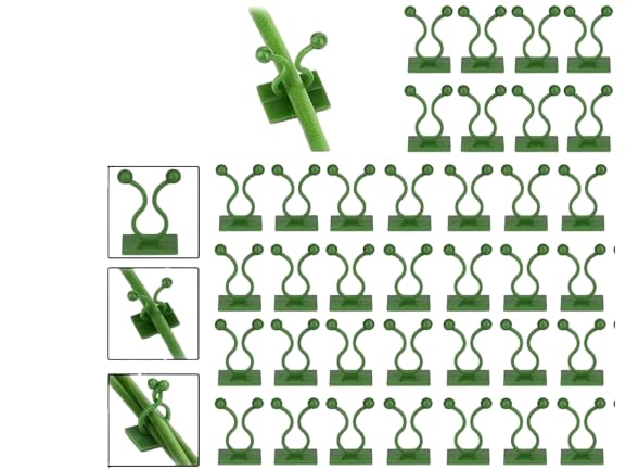 60 Pcs Self-Adhesive Plant Climbing Wall Clips (Green) | Vine Support Hooks for Money Plant & Creepers | Wall Fixture Clips for Indoor & Outdoor Plant Support-image-22