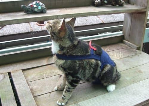 Joybies Navy Blue Piddle Pants(tm) for X Small Cat (Measuring 11"-13" from Collar to Base of Tail)