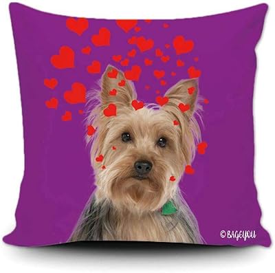 All You Need Is Love – Fundas De Almohada Para El Día De San Valentín Con Estampado De Leopardo Y Arco Iris 18 X 18 Pulgadas Decoracion De Boda