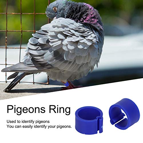 Duiven Ring: 200 Stuks 8mm Duiven Ring Geen Woorden Gevogelte Been Identificeren Voet Ring Clip Duiven Vogel Training… - Afbeelding 3