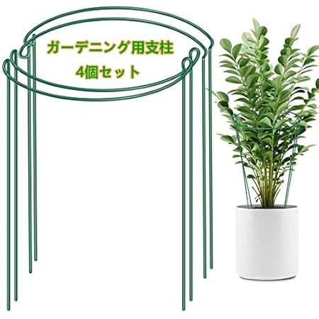 Amazon Dcdc 4個セット ガーデニング用支柱 フラワー支柱 花支え 園芸支柱 植物支柱 花支え 垂れ防止 簡単設置 園芸 ガーデニング用品 サイズ 35cm 支柱 Amazon Dcdc 4個セット ガーデニング用支柱 フラワー支柱 花支え 園芸支柱 植物支柱 花支え 垂れ防止 簡単設置 園芸 ガーデニング用品 サイズ 35cm 支柱