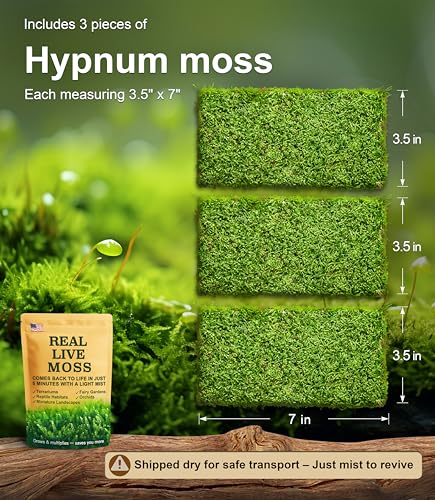 Mejores precios y opiniones de Mulch orgánico para plantas más recomendados. 17 Imagen adicional