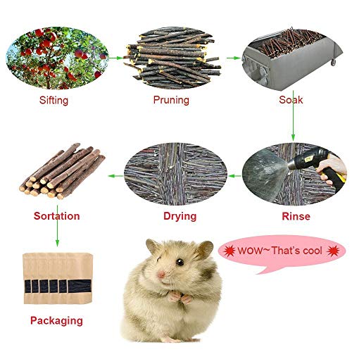 Bojafa APPLE-1 250G Apple Sticks Small Animals Molar Wood Treats Toys thumb #6