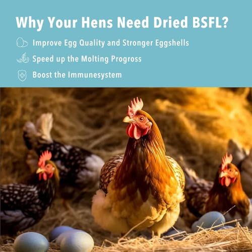 5LB Dried Black Soldier Fly Larvae Treat for Chicken More Calcium Than Mealworms,for Laying Hen,Wild Birds (5 Pound)
