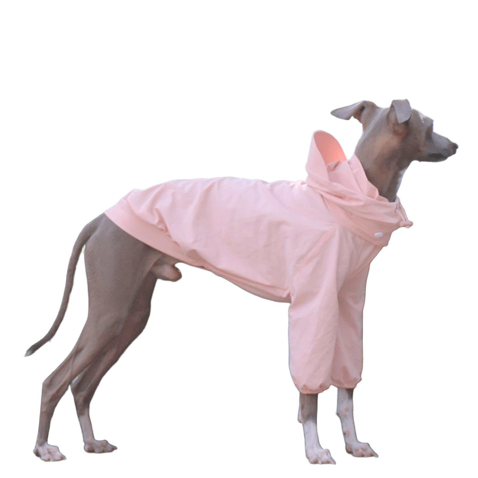 UOSIA Whippet Dog Raincoat Waterproof Dog Rain Jacket With Removable Hood Adjustable 2 Legs High Collar Puppy Raincoat Poncho For Italian Greyhound