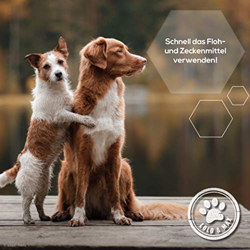 Lolo & Max - Floh- & Zeckenmittel für Hunde 100% Natürlicher Spot On - Bis zu 8 Monate Abwehr & Bekämpfung von Flöhen & Anderen Parasiten (Zecken,Milben,Läuse,Haarlinge,Wanzen) - 40ml