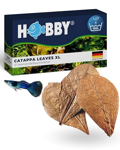 HOBBY Aquaristik Catappa Leaves XL I 12 Stück I große Seemandelbaumblätter für Aquarien I fördert Vitalität und Wohlbefinden von Fischen und Garnelen I natürlicher Wasserzusatz für Süßwasseraquarien