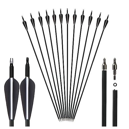 Mmxhn 12 Pack 30 Inch Carbon Arrwos Hunting and Target Practice Arrows with 100 Grain Removable Tips for Compound Bow and Recurve Bow-Black